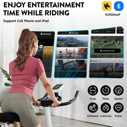 Pooboo Indoor Cycling Bike With 40lb Flywheel And 350lb Capacity - D518M1